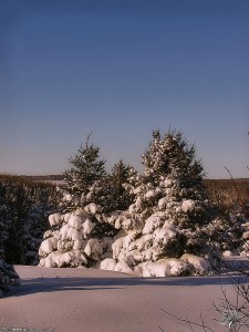 Joyeux Noël