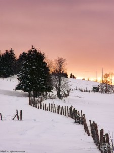 Couleurs d&rsquo;hiver
