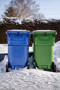 Jumeaux non-identiques