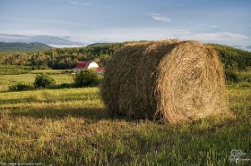 Temps des foins III
