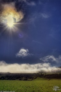 Lumière matinale II