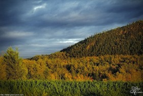 Temps d&rsquo;automne III