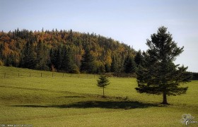 Lumières d&rsquo;automne