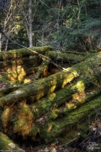 Construction oubliée