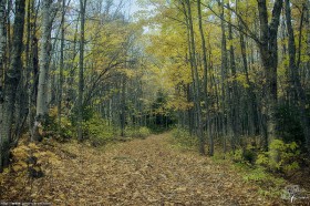 Sentier d&rsquo;automne