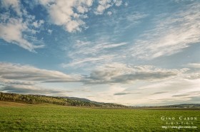 Sous un ciel de printemps