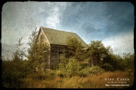 L&rsquo;école oubliée