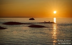 Silhouettes au coucher