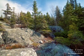 Entre l&rsquo;ombre et la lumière