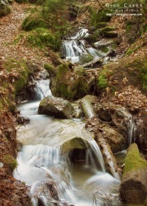 Ruisseau à l&rsquo;automne