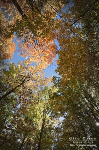Sous les couleurs d&rsquo;automne