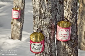 Ketchup à l&rsquo;érable