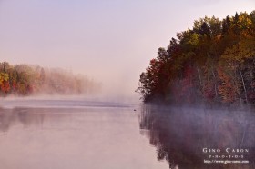 Sur le bord d&rsquo;un lac II
