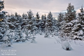 C&rsquo;est l&rsquo;hiver!