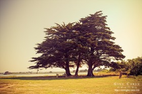 Pause de l&rsquo;hiver…