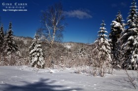 Paysage d&rsquo;hiver