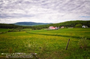 Printemps à la campagne