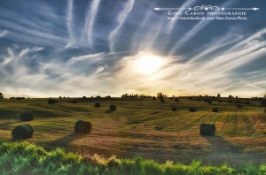 Balles de foin au coucher du soleil