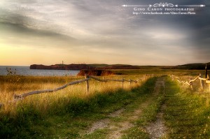 Le sentier et la falaise