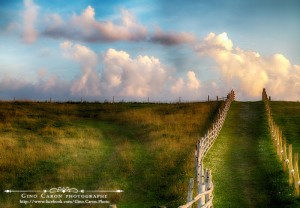 Le chemin