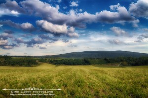 La tête dans les nuages II