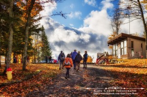 Le festival de la marche 2012
