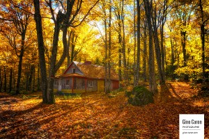 La vieille cabane et l&rsquo;automne