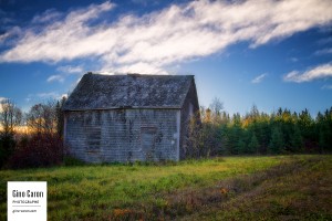 La maison abandonnée