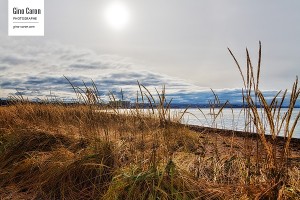 Sur le bord du fleuve à Rimouski II