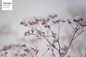 C&rsquo;est le printemps