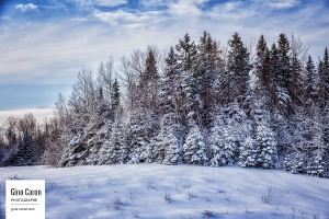 Neige au printemps