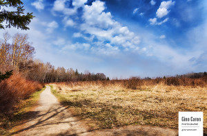 Printemps sur Rimouski II