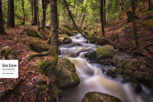 Le ruisseau du Parc Lepage