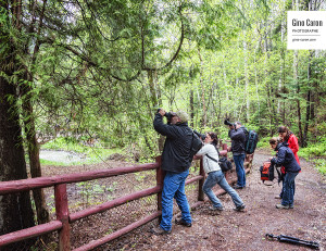 Qu&rsquo;y avait-il dans l&rsquo;arbre?