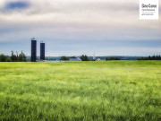 Campagne mitissienne