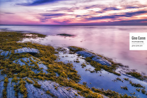 Chaude fin de journée II