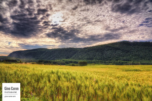 Matin à la campagne