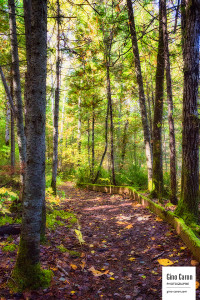 Un sentier près de la rivière Rimouski