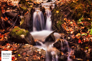 Un autre petit ruisseau