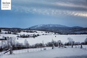 Le Mont-Comi