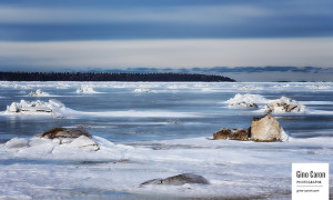 Glaces sur le fleuve II