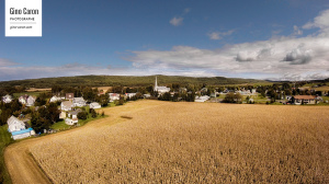 Presque l&rsquo;automne