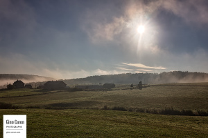 Brume du matin