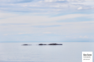 De simples rochers sur le fleuve