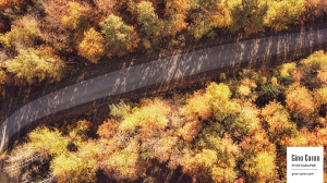 Route à travers une forêt à l&rsquo;automne