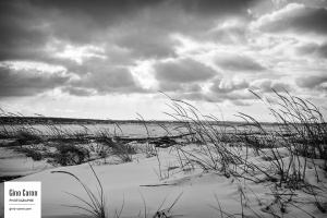 Paysage de décembre en noir et blanc