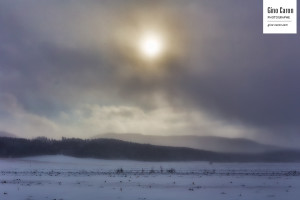 Fin d&rsquo;année 2014 froide