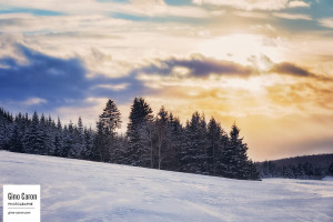 Scène d&rsquo;hiver