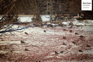 L&rsquo;heure du repas