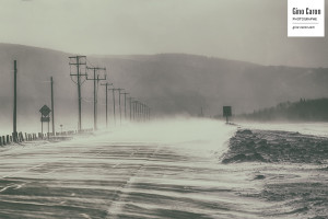 Poudrerie sur la route
